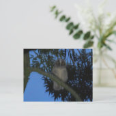 Schattigee Jonge Langooruil in Tree DIY Briefkaart (Staand voorkant)