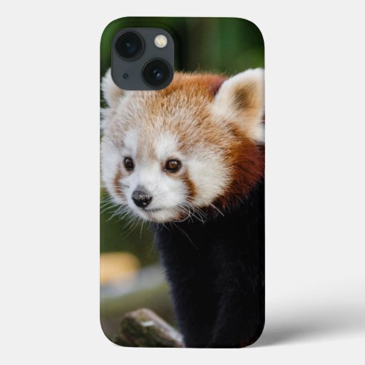 Schattigee jonge rode panda Beer Case-Mate iPhone Case (Achterkant)