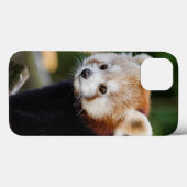 Schattigee jonge rode panda Beer Case-Mate iPhone Case (Achterkant (horizontaal))