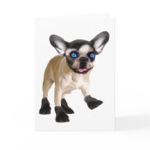 Schattigee Kaart met lege binnenkant