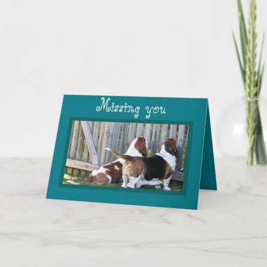 Schattigee  Kaart "Missing You" met Bassets (Voorkant)