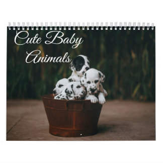 Schattigee kalender voor babydieren