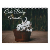 Schattigee kalender voor babydieren (Hoes)