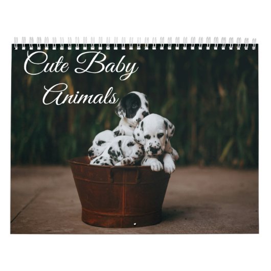 Schattigee kalender voor babydieren (Hoes)