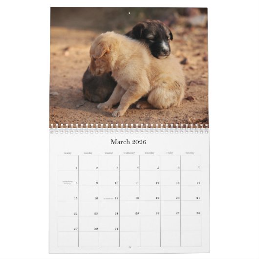 Schattigee kalender voor babydieren (Mar 2026)