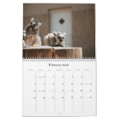 Schattigee kalender voor babydieren (Feb 2026)
