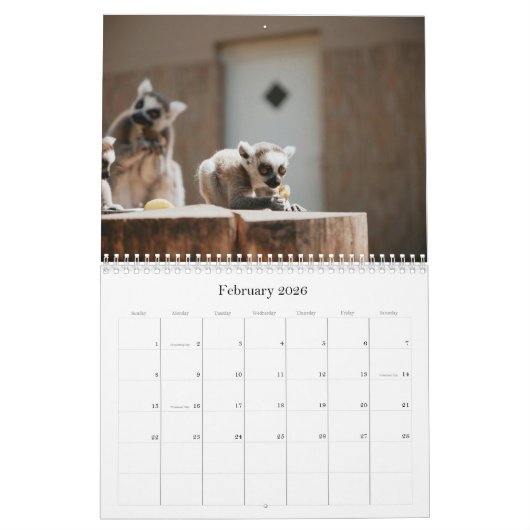 Schattigee kalender voor babydieren (Feb 2026)
