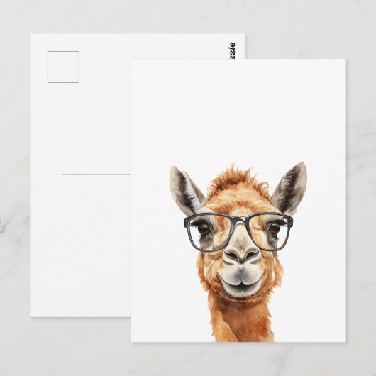 Schattigee kameel met bril briefkaart (Voorkant / Achterkant)
