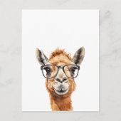 Schattigee kameel met bril briefkaart (Voorkant)