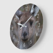 Schattigee Kangoeroe Face Close-up Australië Grote Grote Klok (Hoek)