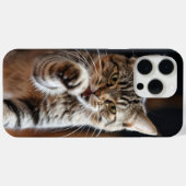 Schattigee kat die een stoot geeft Case-Mate iPhone case (Achterkant (horizontaal))