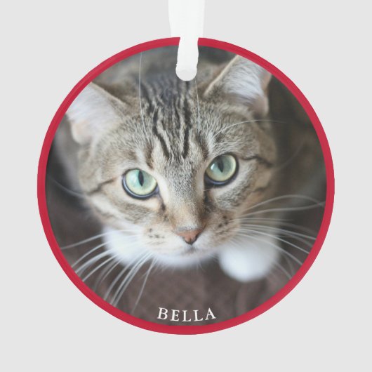 Schattigee kat foto rood ornament (achterkant)