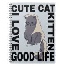 Schattigee kat goed leven