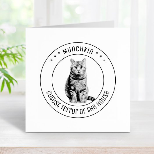 Schattigee kat huisdier foto rond rubberstempel