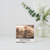 Schattigee kat huisdier sitter en hond walker vierkante visitekaartje (Staand voorkant)