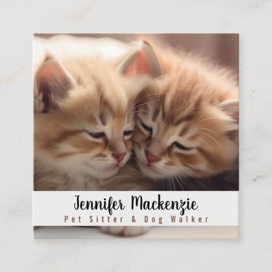 Schattigee kat huisdier sitter en hond walker vierkante visitekaartje (Voorkant)