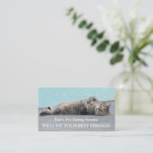 Schattigee Kat Huisdier Zittend Dier Professioneel Visitekaartje (Staand voorkant)