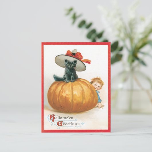 Schattigee kat in het Pet  Briefkaart (Staand voorkant)