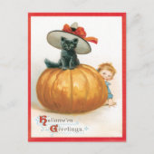 Schattigee kat in het Pet  Briefkaart (Voorkant)