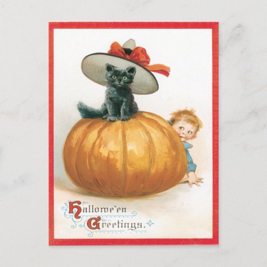 Schattigee kat in het Pet Briefkaart (Voorkant)