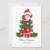 Schattigee kat in rode kerstmuts gepersonaliseerd feestdagenkaart (Voorkant)