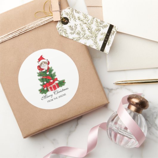 Schattigee kat in rode kerstmuts gepersonaliseerd ronde sticker (Geschenken)