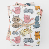 Schattigee kat inpakpapier, kat cadeauverpakking,  inpakpapier vel (In situ)