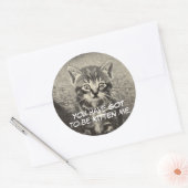 Schattigee kat / kitten "Je moet kitten mij." Ronde Sticker (Envelop)