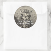 Schattigee kat / kitten "Je moet kitten mij." Ronde Sticker (Tas)
