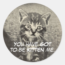 Schattigee kat / kitten "Je moet kitten mij." Ronde Sticker