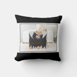 Schattigee kat "Kom in de verliezer, we gaan achte Kussen