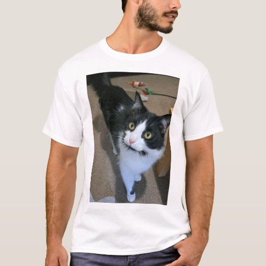 Schattigee kat mannen t-shirt (Voorkant)