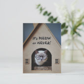 Schattigee kat met bril Het is miauw of nooit cita Briefkaart (Staand voorkant)