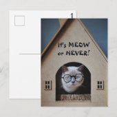 Schattigee kat met bril Het is miauw of nooit cita Briefkaart (Voorkant / Achterkant)