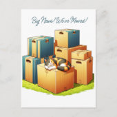 Schattigee kat met dozen familie We hebben verplaa Briefkaart (Voorkant)