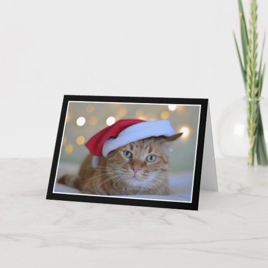 Schattigee kat met een kerstmuts Kaart (Voorkant)
