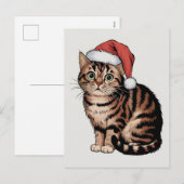 Schattigee kat met kerst pet feestdagenkaart (Voorkant / Achterkant)