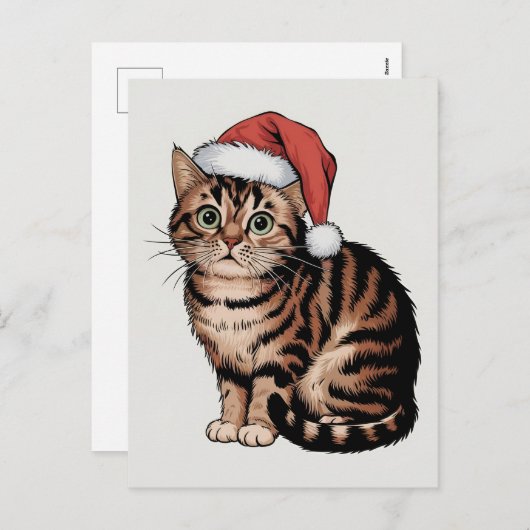 Schattigee kat met kerst pet feestdagenkaart (Voorkant / Achterkant)