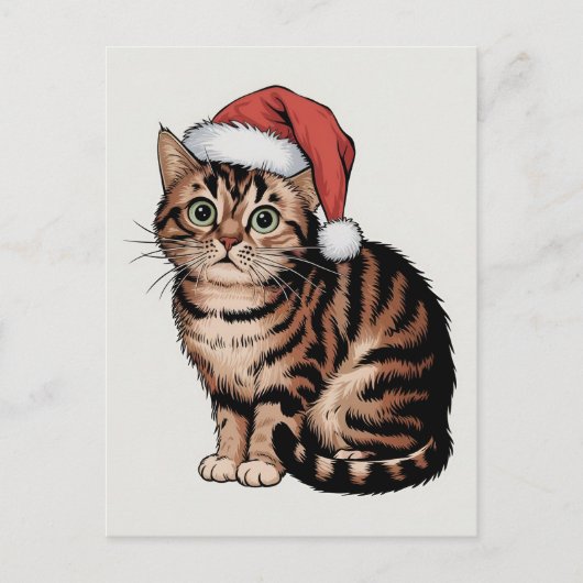 Schattigee kat met kerst pet feestdagenkaart (Voorkant)
