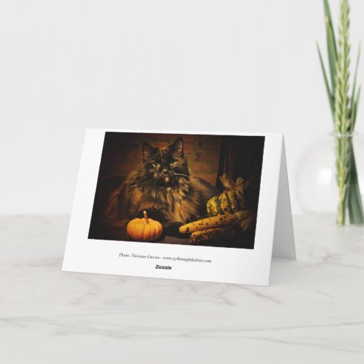 Schattigee kat met pompoen - Thanksgiving! Feestdagen Kaart (Achterkant)