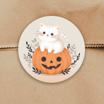 Schattigee kat op een pompoen Halloween illustrati
