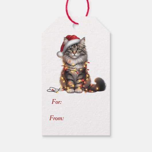 Schattigee kat verpakt in kerstverlichting cadeaulabel (Achterkant)