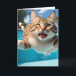 Schattigee Kat Vliegend Zwembad Duikbad Grappige B Kaart<br><div class="desc">Gelukkige kat die in het water duikt en recht naar je kijkt. Kat is ofwel heel blij of schreeuwt "Help!" 😂</div>