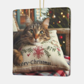 Schattigee kat vrolijk kerstfeest Ornament (Links)