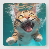 Schattigee Kat Zwemmen Duiken Onderwater in Zwemba