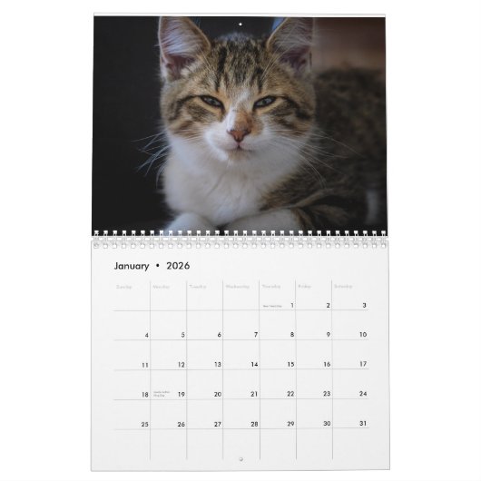 Schattigee Katten 2024 Kalender (Jan 2026)