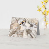 Schattigee katten chillen gewoon met mijn boek Hal Kaart (Gele Bloem)