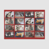 Schattigee katten en Kittens Fotosjabloon op donke Tissuepapier (Voorkant)