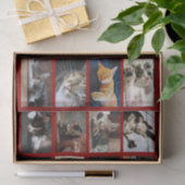 Schattigee katten en Kittens Fotosjabloon op donke Tissuepapier (Geschenk)