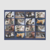 Schattigee Katten en Kittens Fotosjabloon op Navy Tissuepapier (Voorkant)